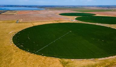 Farm For Sale - VIC - Winlaton - 3585 - PRODUCTIVE IRRIGATED AND DRYLAND CROPPING  (Image 2)