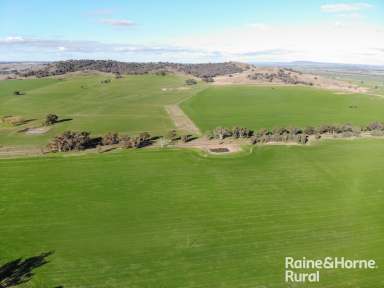 Farm For Sale - NSW - Grenfell - 2810 - GOLDEN GRANARY  (Image 2)