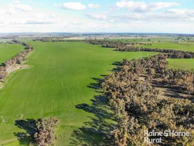 Farm For Sale - NSW - Grenfell - 2810 - GOLDEN GRANARY  (Image 2)