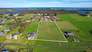 Farm For Sale - VIC - Koroit - 3282 - 3 Acres in Koroit  (Image 2)