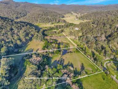 Farm For Sale - NSW - Wollombi - 2325 - Picture Perfect Weekender Acres in Ideal Wollombi Location  (Image 2)