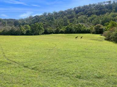 Farm For Sale - NSW - Wollombi - 2325 - Picture Perfect Weekender Acres in Ideal Wollombi Location  (Image 2)