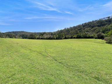 Farm For Sale - NSW - Wollombi - 2325 - Picture Perfect Weekender Acres in Ideal Wollombi Location  (Image 2)