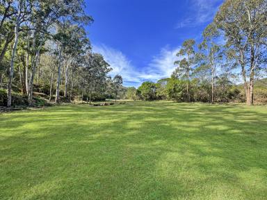 Farm For Sale - NSW - Wollombi - 2325 - Picture Perfect Weekender Acres in Ideal Wollombi Location  (Image 2)