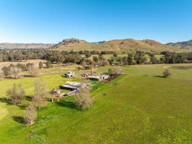 Farm For Sale - NSW - Darbalara - 2722 - 'TARRAWEENA' - 481 HA - River Flats, High Production, 4 BR Homestead  (Image 2)