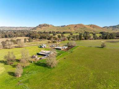 Farm Sold - NSW - Darbalara - 2722 - 'TARRAWEENA' - 481 HA - River Flats, High Production, 4 BR Homestead  (Image 2)