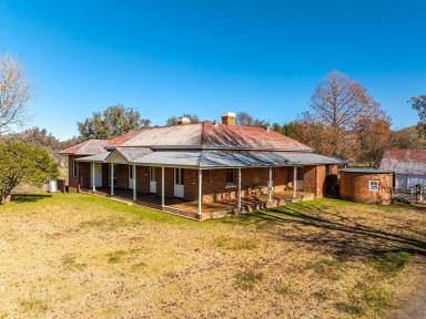 Farm For Sale - NSW - Darbalara - 2722 - 'TARRAWEENA' - 481 HA - River Flats, High Production, 4 BR Homestead  (Image 2)