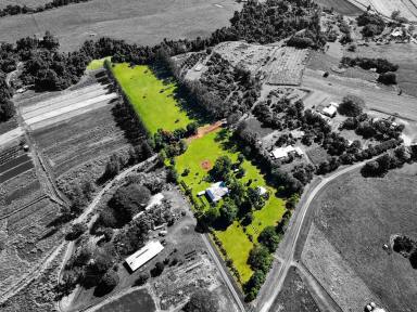 Farm For Sale - QLD - Camp Creek - 4871 - Escape the Ordinary: Unveiling Your Camp Creek Sanctuary  (Image 2)