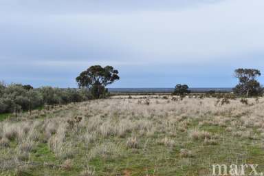 Farm For Sale - SA - Towitta - 5353 - GETAWAY TO TOWITTA  (Image 2)