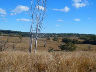 Farm For Sale - QLD - Beeron - 4626 - "BEERON" BURNETT BREEDER BLOCK  (Image 2)