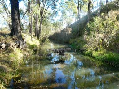 Farm For Sale - QLD - Beeron - 4626 - "BEERON" BURNETT BREEDER BLOCK  (Image 2)