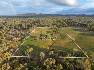 Farm For Sale - VIC - Mandurang South - 3551 - STUNNING UNDULATING ALLOTMENT - TITLED ACREAGE IN MANDURANG SOUTH (14.80ha, RLZ)  (Image 2)