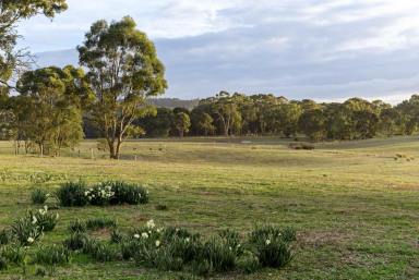 Farm For Sale - VIC - Mandurang South - 3551 - STUNNING UNDULATING ALLOTMENT - TITLED ACREAGE IN MANDURANG SOUTH (14.80ha, RLZ)  (Image 2)