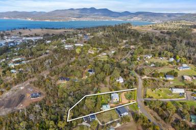 Farm For Sale - TAS - Triabunna - 7190 - A Barton Avenue gem  (Image 2)