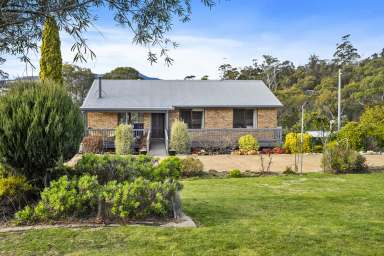 Farm For Sale - TAS - Triabunna - 7190 - A family home or a great investment opportunity  (Image 2)