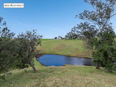 Farm For Sale - NSW - Bega - 2550 - BIG ACRES ON PEAK HILL  (Image 2)