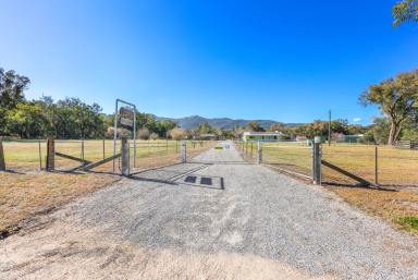 Farm For Sale - NSW - Moonbi - 2353 - COUNTRY CHARM, VILLAGE CONVENIENCE  (Image 2)