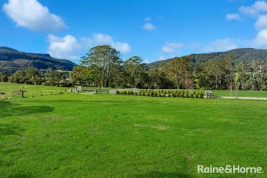 Farm For Sale - NSW - Kangaroo Valley - 2577 - The World is Your Oyster!  (Image 2)