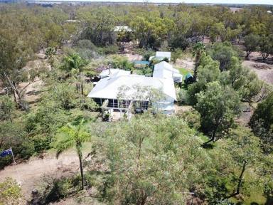 Farm For Sale - NSW - Bellata - 2397 - Wilgaroi, Bellata  (Image 2)