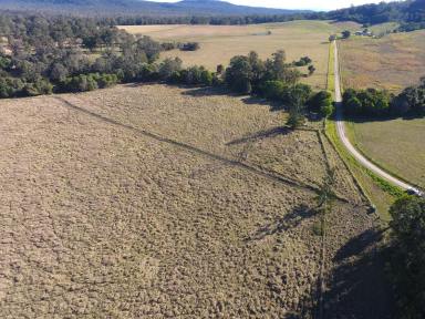 Farm For Sale - NSW - New Italy - 2472 - 95 ACRES - NEW ITALY BUILD YOUR DREAM HOME !  (Image 2)