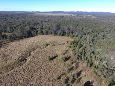 Farm For Sale - NSW - New Italy - 2472 - 95 ACRES - NEW ITALY BUILD YOUR DREAM HOME !  (Image 2)