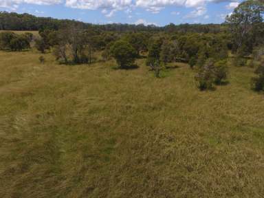 Farm For Sale - NSW - New Italy - 2472 - 95 ACRES - NEW ITALY BUILD YOUR DREAM HOME !  (Image 2)