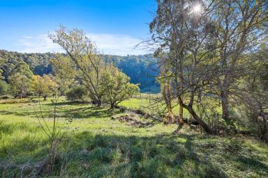 Farm For Sale - VIC - Noojee - 3833 - A Riverfront Retreat: 5 Toorongo Valley Road, Noojee  (Image 2)