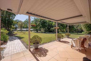 Farm For Sale - QLD - Cooroy - 4563 - Rural Feel Yet So Close To Town  (Image 2)