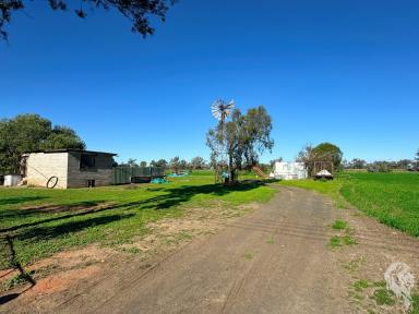 Farm For Sale - NSW - Wee Waa - 2388 - 5.85 HA IN TOWN WITH A DWELLING  (Image 2)