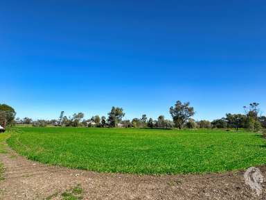 Farm For Sale - NSW - Wee Waa - 2388 - 5.85 HA IN TOWN WITH A DWELLING  (Image 2)