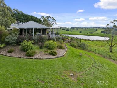 Farm For Sale - VIC - Kardella - 3951 - 'FAIRVIEW'  (Image 2)