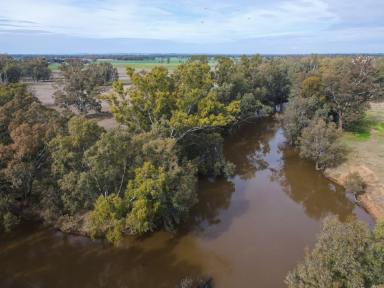 Farm Sold - NSW - Forbes - 2871 - "Riverdell" - Ultimate Lifestyle Property on the Lachlan River  (Image 2)