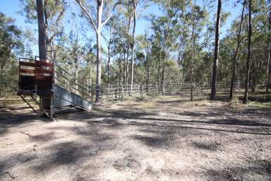 Farm For Sale - QLD - Mount Perry - 4671 - Cheap Mount Perry Breeder Block  (Image 2)