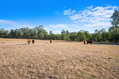 Farm For Sale - NSW - Putty - 2330 - Land for sale in Putty  (Image 2)