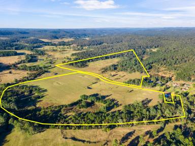 Farm For Sale - NSW - Putty - 2330 - Land for sale in Putty  (Image 2)