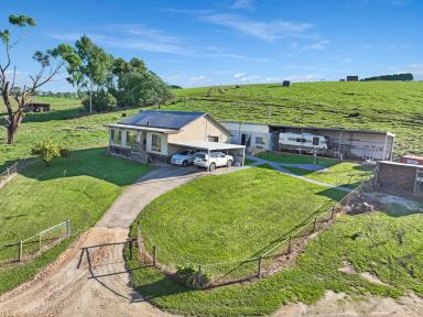 Farm For Sale - VIC - Boolarra South - 3870 - 260 ACRE FARM OPPORTUNITY ($11,500 per acre)  (Image 2)