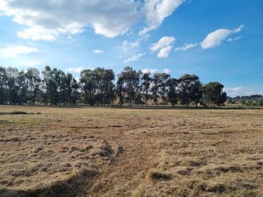 Farm For Sale - NSW - Jugiong - 2726 - A piece of Australia to call your own!  (Image 2)