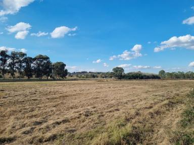 Farm For Sale - NSW - Jugiong - 2726 - A piece of Australia to call your own!  (Image 2)