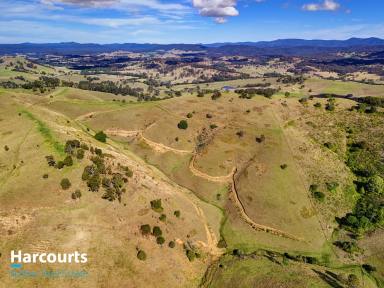 Farm For Sale - NSW - Bunyah - 2429 - "Your Country Adventure Awaits"  (Image 2)