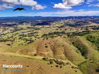 Farm For Sale - NSW - Bunyah - 2429 - "Your Country Adventure Awaits"  (Image 2)