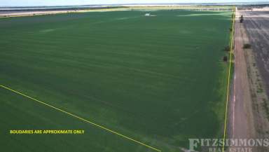 Farm For Sale - QLD - Warra - 4411 - BLACK SELF MULCHING CULTIVATION BLOCK - WINTER CROP INCLUDED  (Image 2)