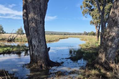 Farm For Sale - NSW - Bogan Gate - 2876 - Lifestyle to enjoy 'Kadina' 4668 The Bogan Way Bogan Gate  (Image 2)