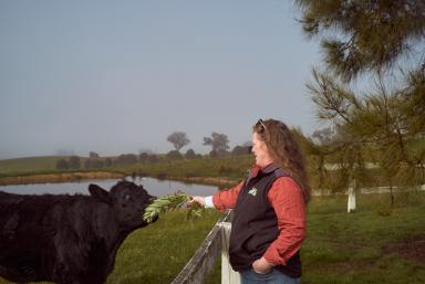 Farm For Sale - VIC - Bonnie Doon - 3720 - 100 Ac "Tallangallook Rise" Views-Privacy-Fish/Ski-Cattle  (Image 2)