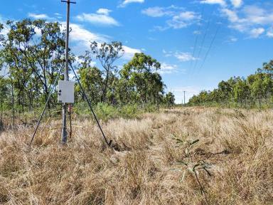 Farm For Sale - QLD - Reid River - 4816 - Are You Wanting Acreage? We have 115 Acres Ready For You  (Image 2)