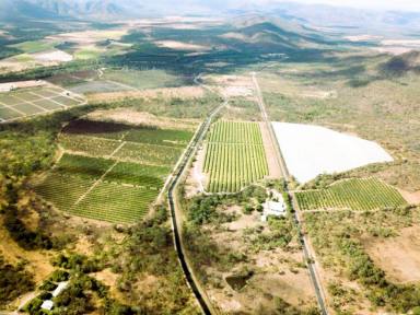 Farm For Sale - QLD - Mutchilba - 4872 - HIGH-VALUE HORTICULTURAL OPPORTUNITY  (Image 2)