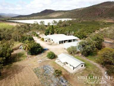 Farm Sold - QLD - Mutchilba - 4872 - HIGH-VALUE HORTICULTURAL OPPORTUNITY  (Image 2)