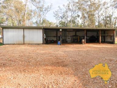 Farm For Sale - QLD - Sandy Ridges - 4615 - Farming, Grazing of Lifestyle the choice is yours  (Image 2)