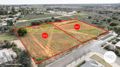 Farm For Sale - VIC - Merbein - 3505 - Vacant Block with Huge Potential  (Image 2)