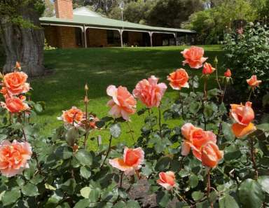 Farm For Sale - WA - Chadwick - 6450 - 180 South Coast Highway, Chadwick - stunning property just minutes from waterfront  (Image 2)