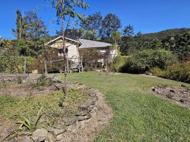 Farm For Sale - QLD - Cooran - 4569 - IMMERSE YOURSELF  (Image 2)